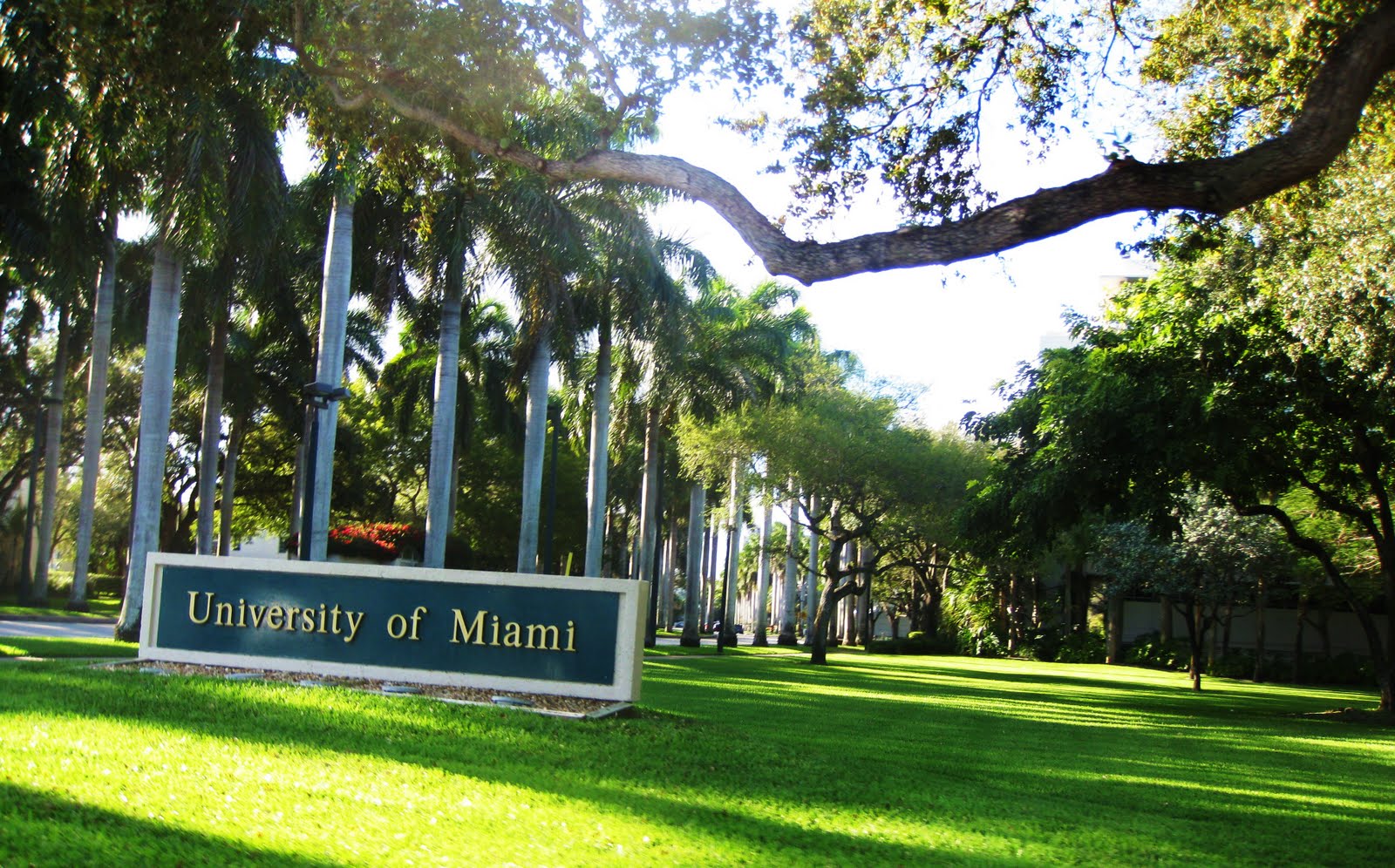 how-to-get-into-the-university-of-miami-acceptance-rate-and-admissions-strategies-college